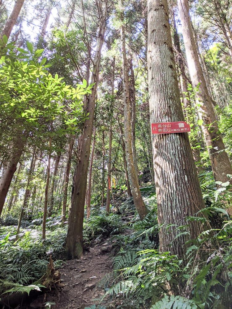 新竹高島縱走 高台山連走島田山 滑到生無可戀還好有美食救贖