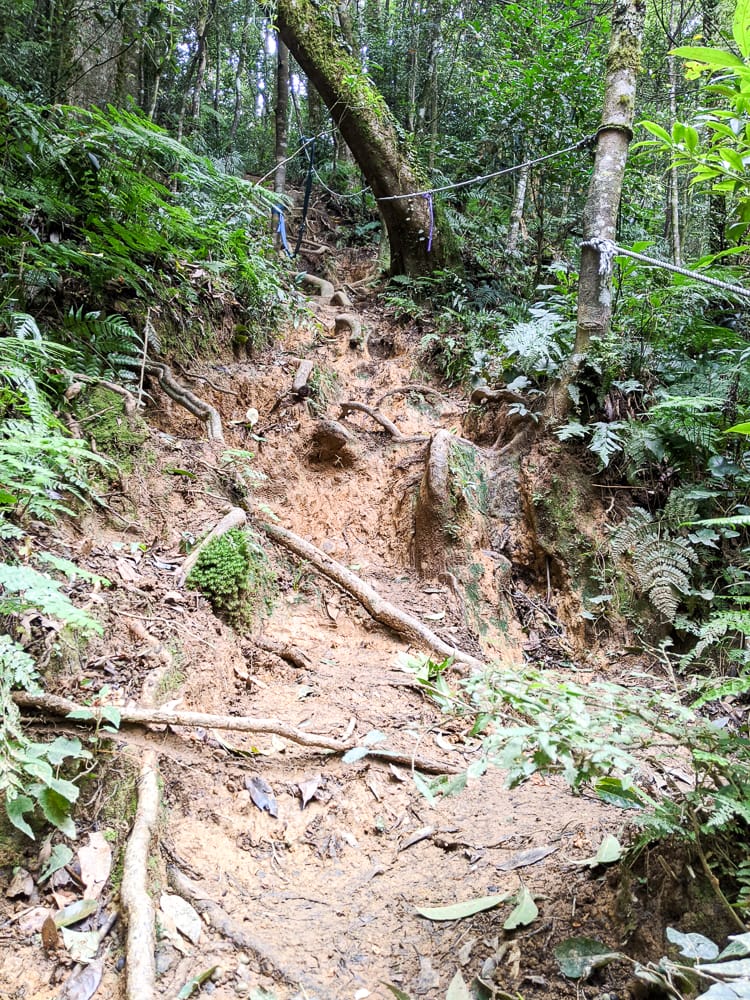 新竹高島縱走 高台山連走島田山 滑到生無可戀還好有美食救贖