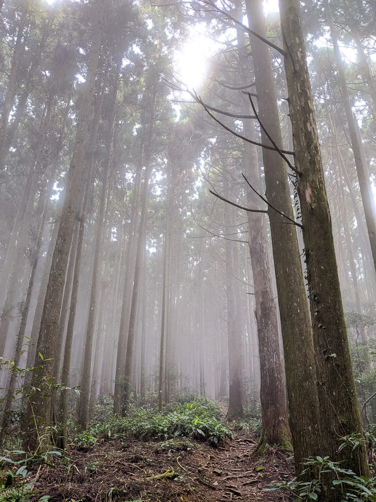 新竹高島縱走 高台山連走島田山 滑到生無可戀還好有美食救贖
