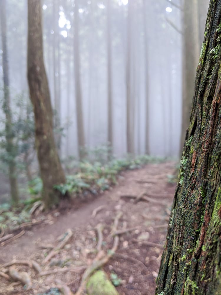 新竹高島縱走 高台山連走島田山 滑到生無可戀還好有美食救贖