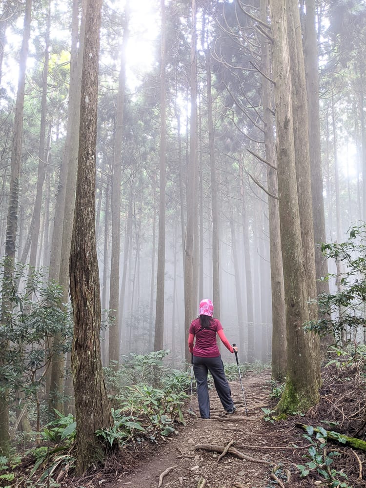 新竹高島縱走 高台山連走島田山 滑到生無可戀還好有美食救贖