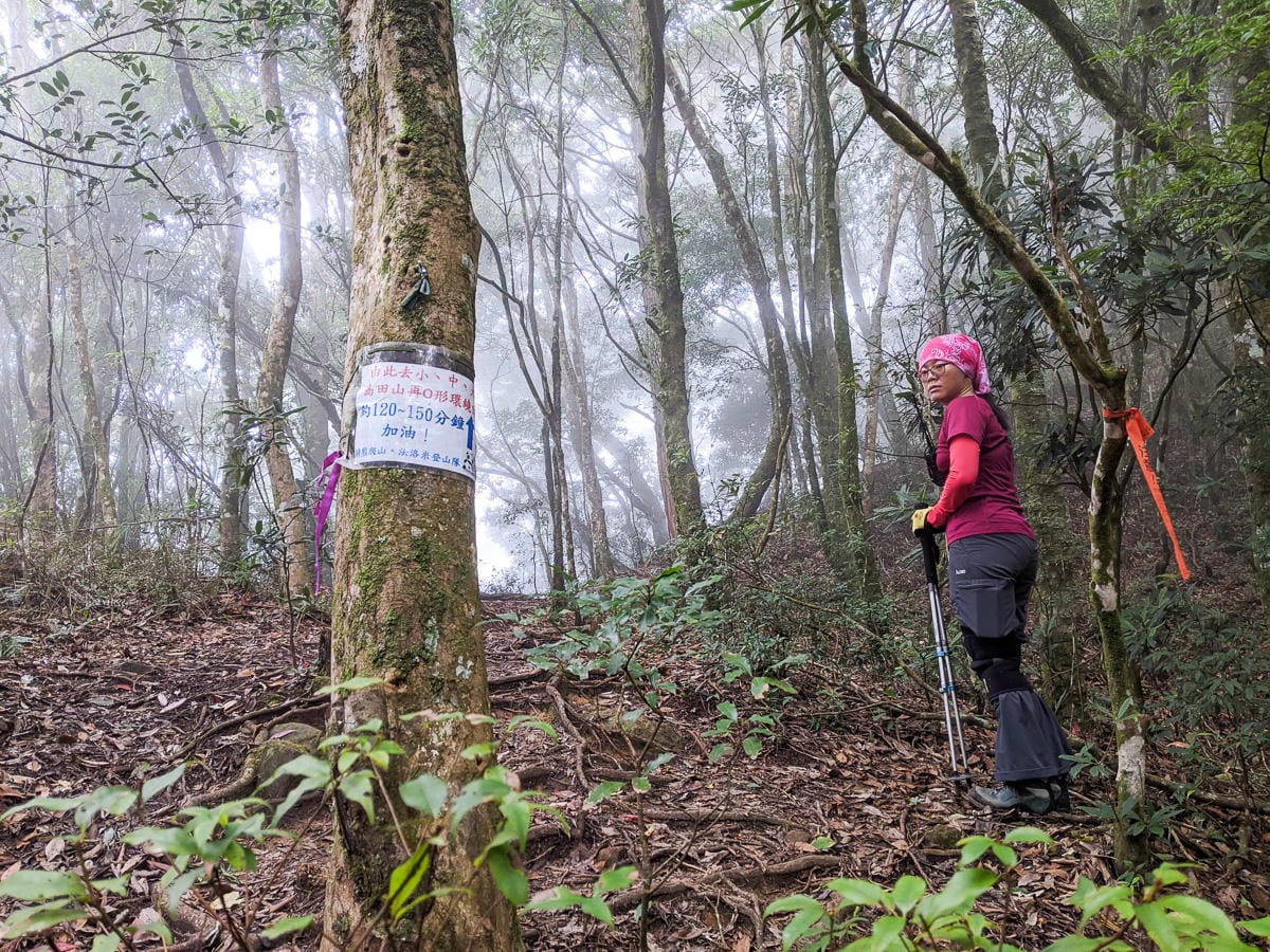 新竹高島縱走 高台山連走島田山 滑到生無可戀還好有美食救贖