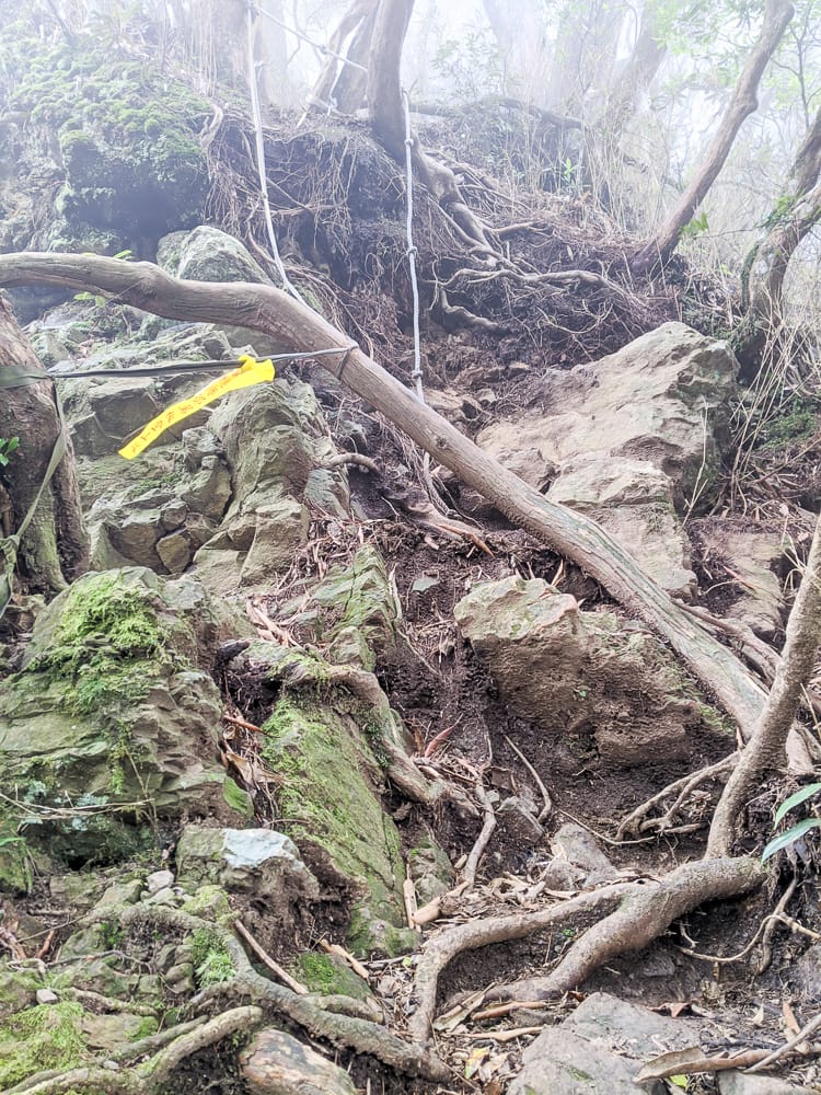 新竹高島縱走 高台山連走島田山 滑到生無可戀還好有美食救贖
