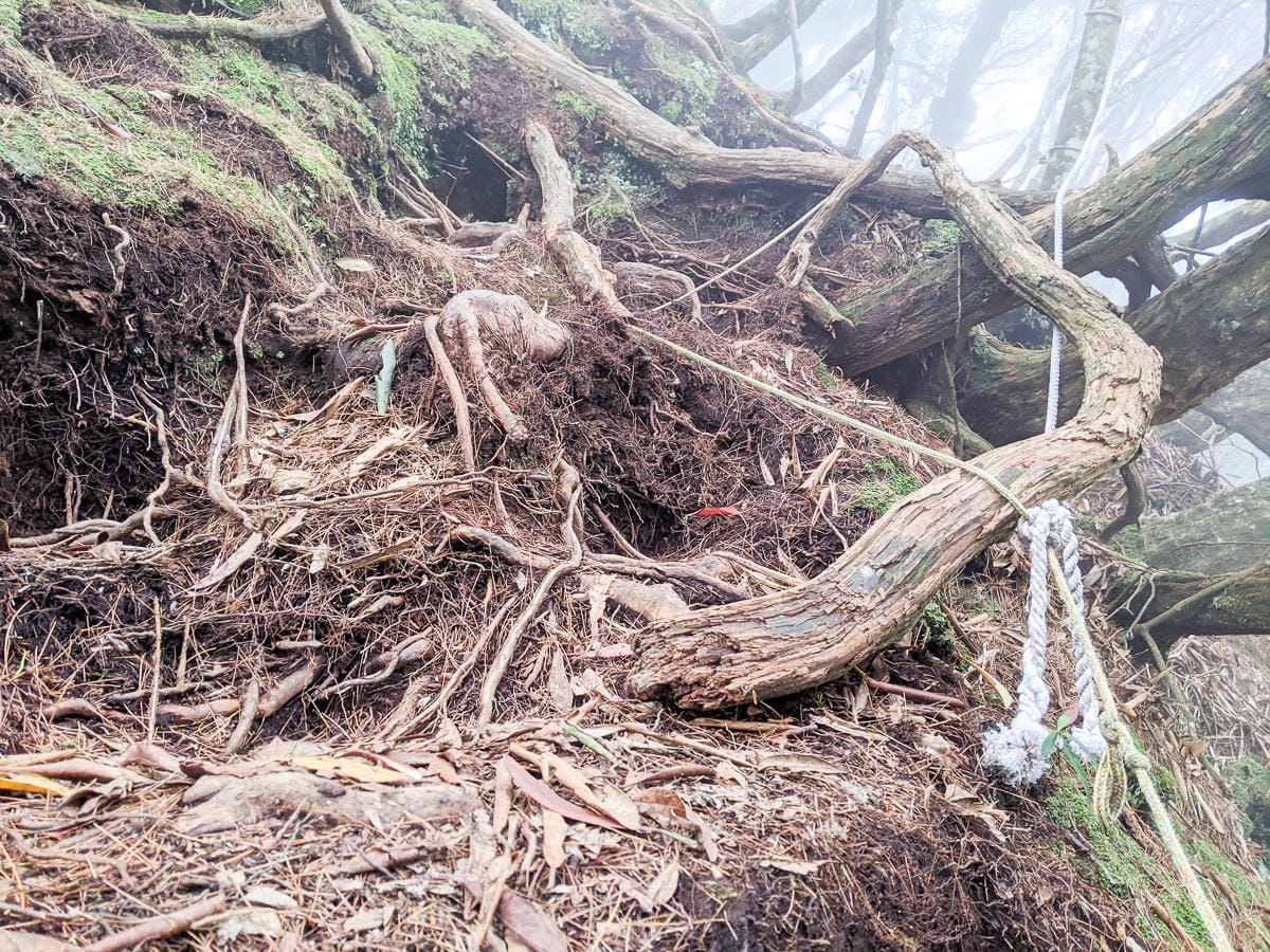 新竹高島縱走 高台山連走島田山 滑到生無可戀還好有美食救贖