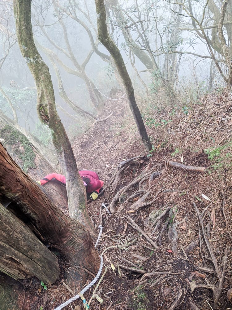 新竹高島縱走 高台山連走島田山 滑到生無可戀還好有美食救贖