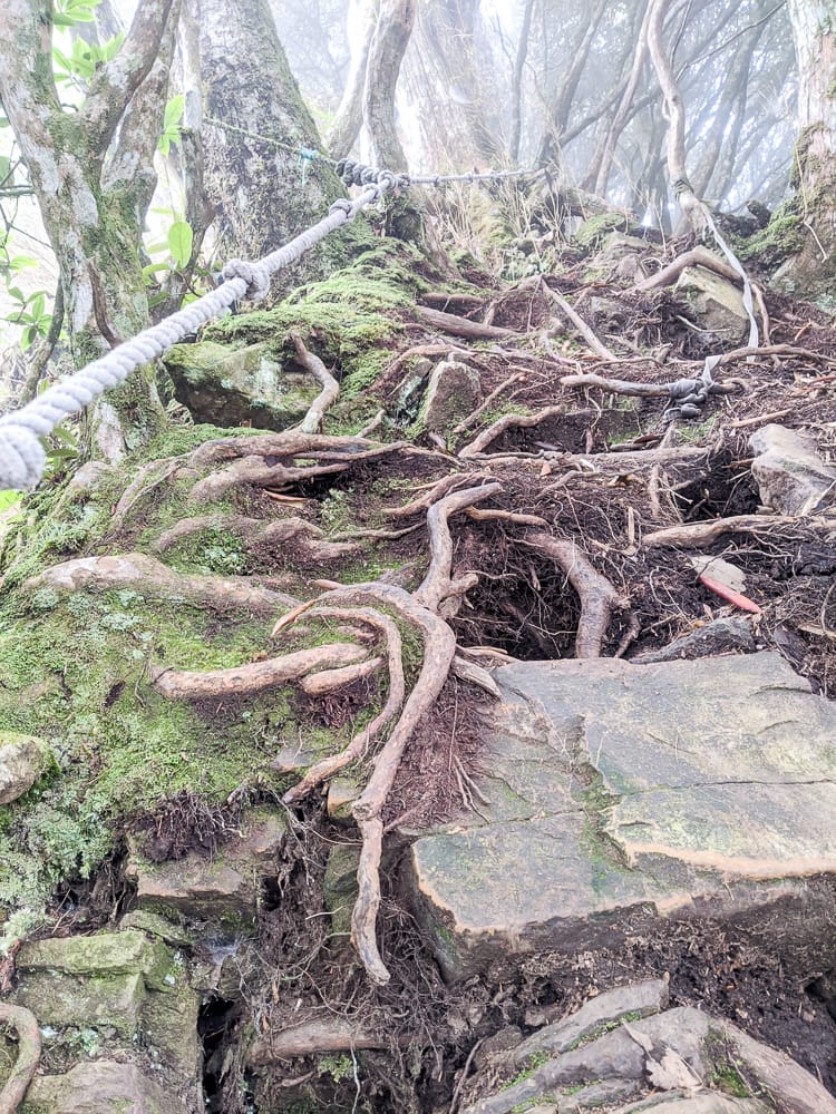 新竹高島縱走 高台山連走島田山 滑到生無可戀還好有美食救贖