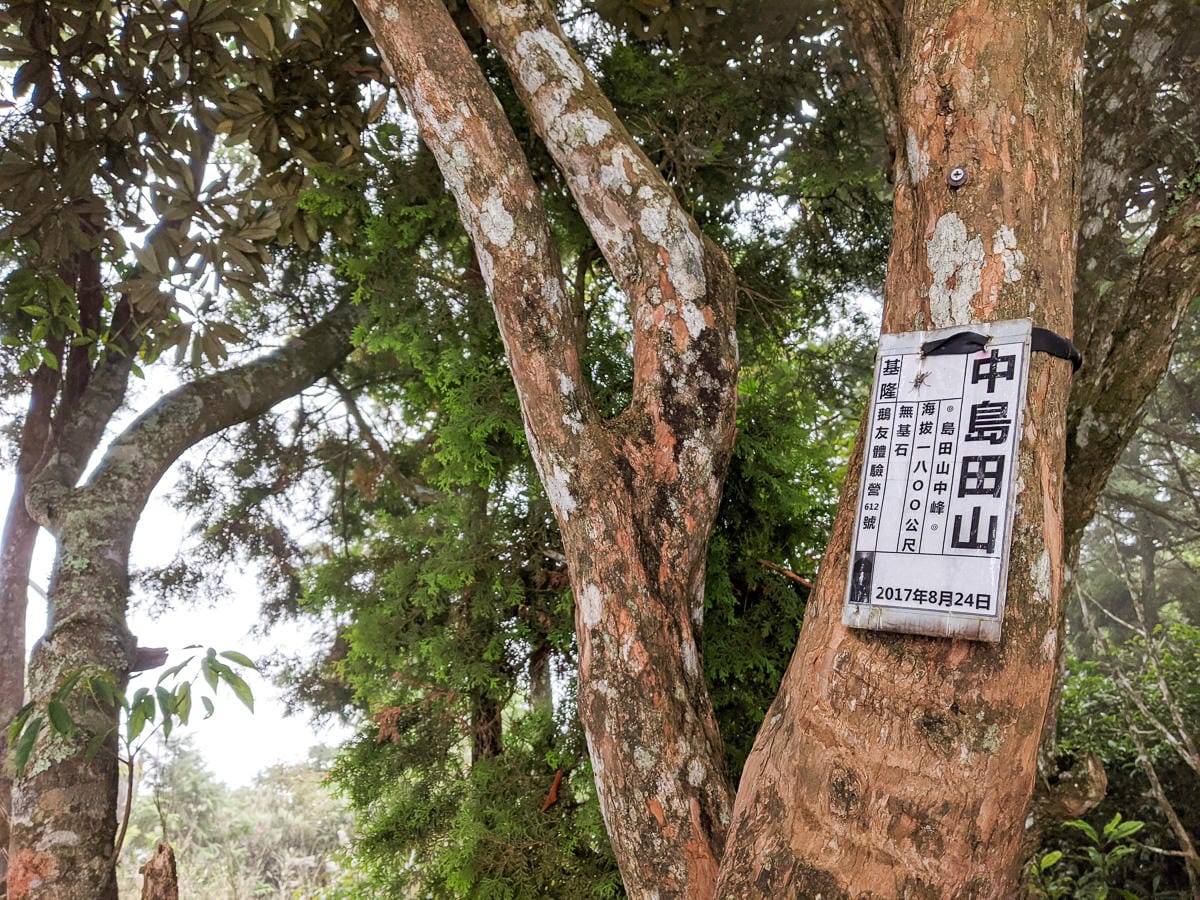 新竹高島縱走 高台山連走島田山 滑到生無可戀還好有美食救贖