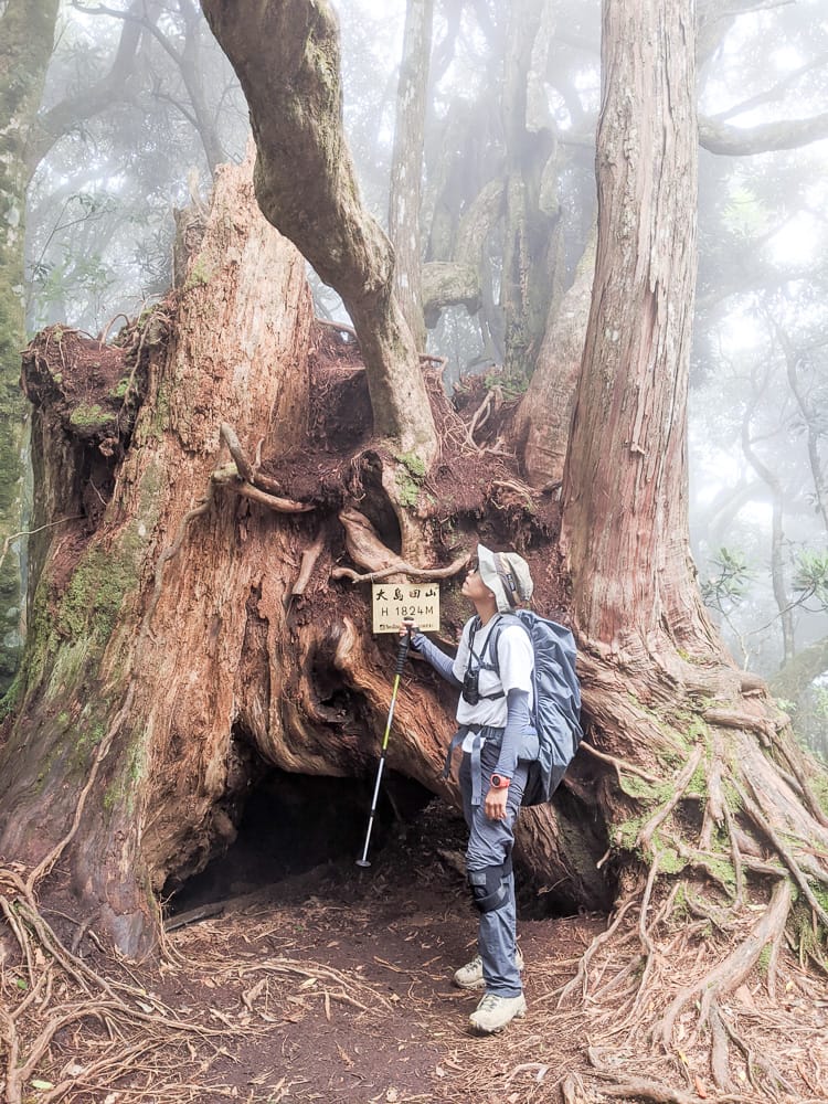 新竹高島縱走 高台山連走島田山 滑到生無可戀還好有美食救贖