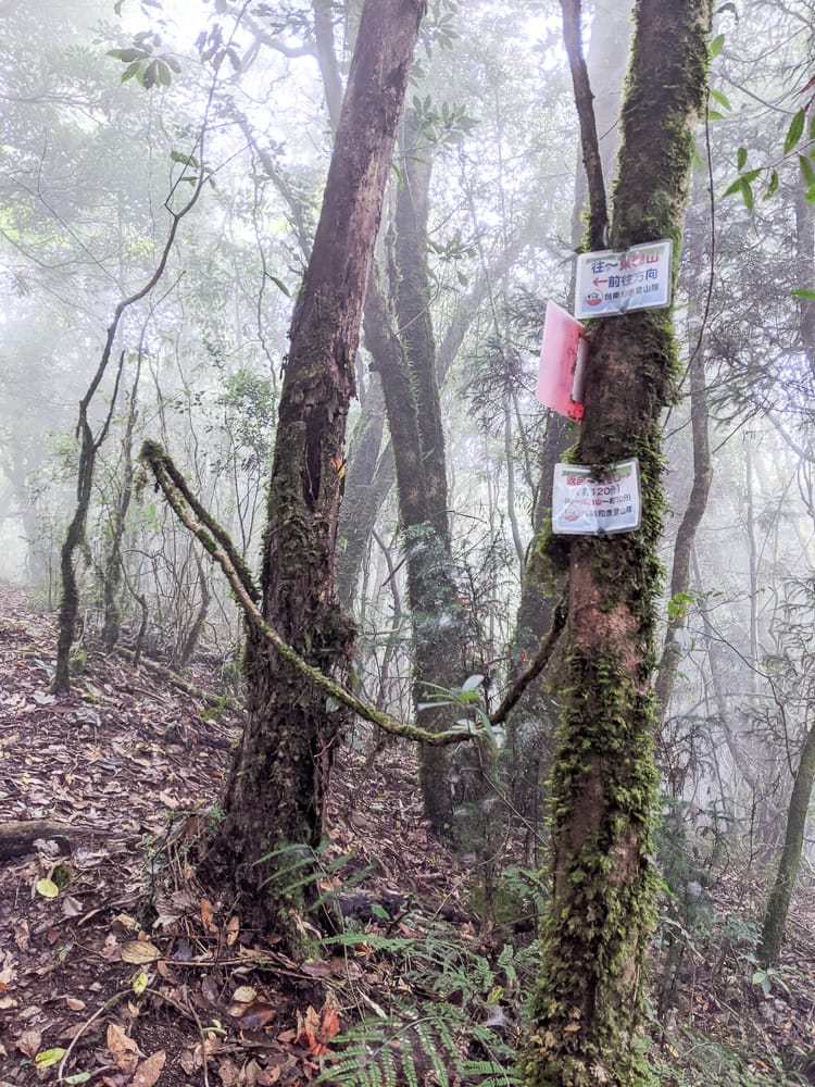 新竹高島縱走 高台山連走島田山 滑到生無可戀還好有美食救贖
