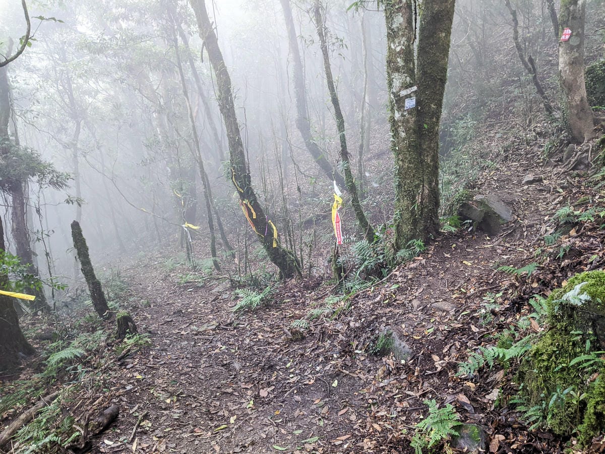 新竹高島縱走 高台山連走島田山 滑到生無可戀還好有美食救贖