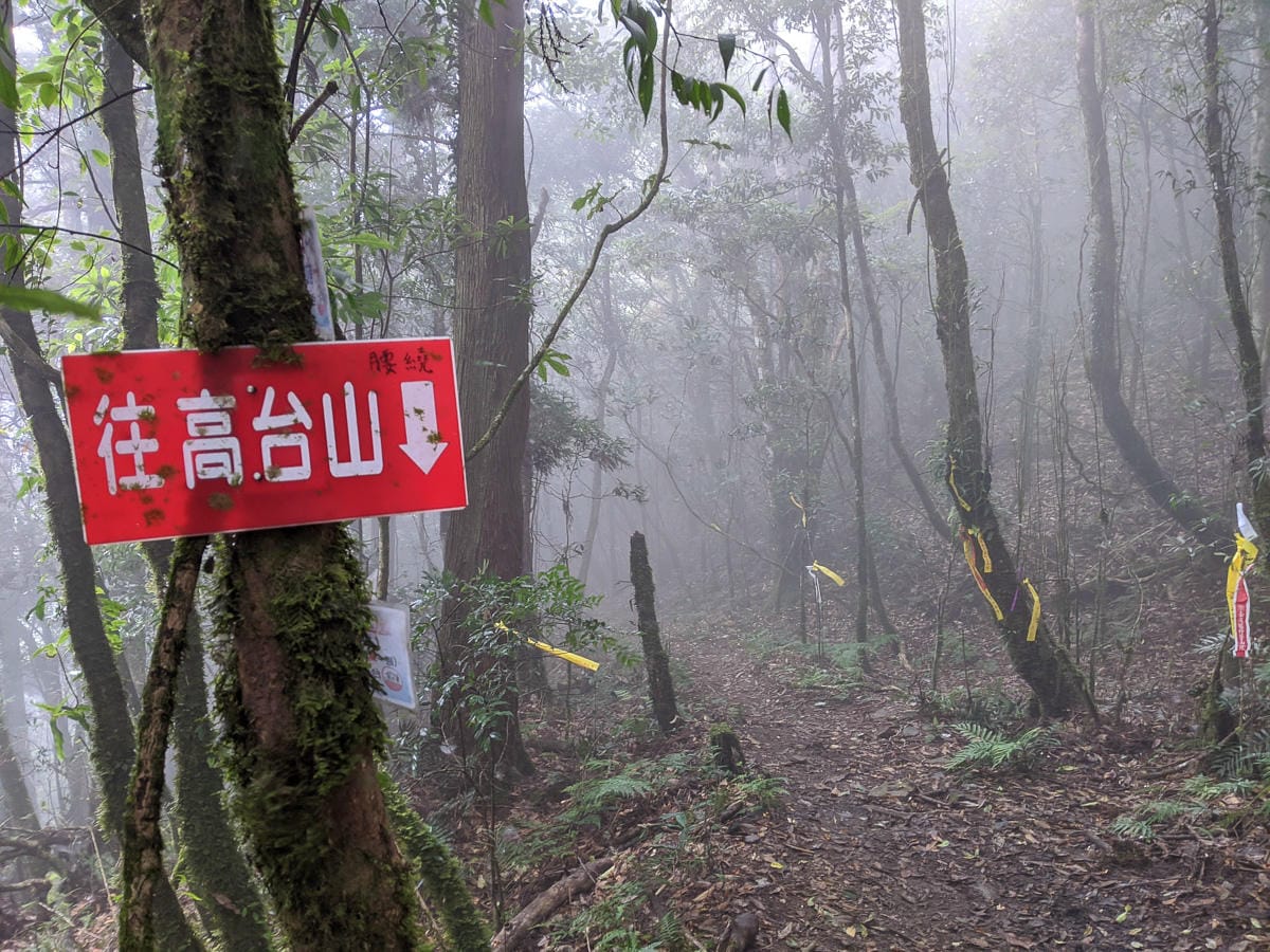 新竹高島縱走 高台山連走島田山 滑到生無可戀還好有美食救贖