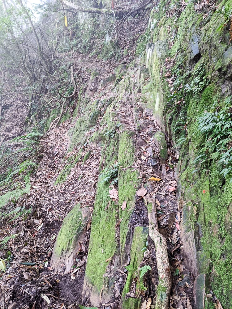 新竹高島縱走 高台山連走島田山 滑到生無可戀還好有美食救贖