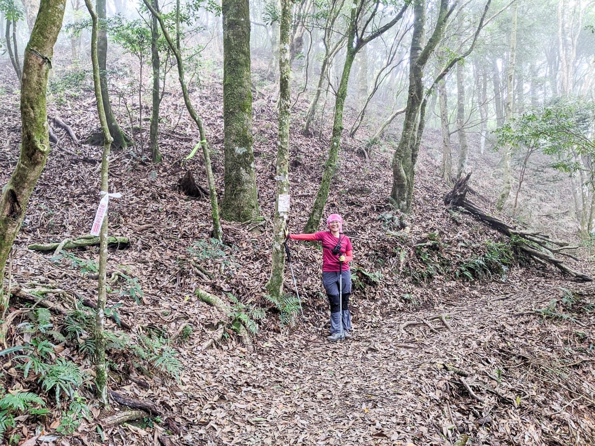 新竹高島縱走 高台山連走島田山 滑到生無可戀還好有美食救贖