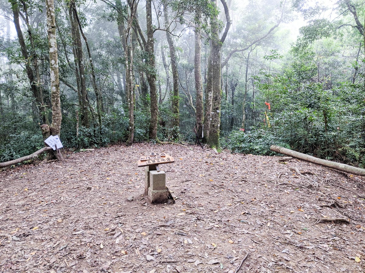 新竹高島縱走 高台山連走島田山 滑到生無可戀還好有美食救贖