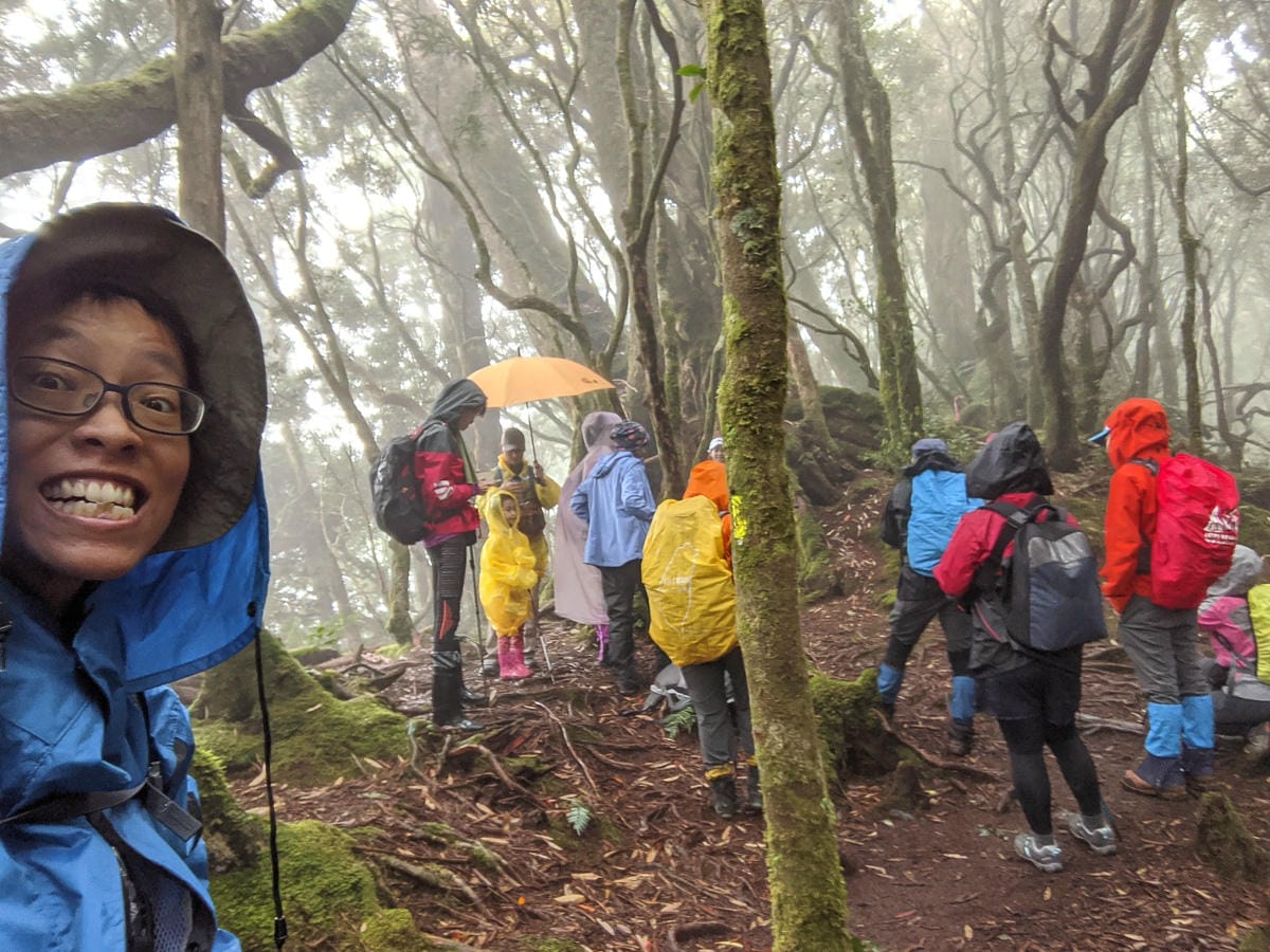 桃園復興鄉泰雅廚房 拉拉山上巴陵美食 - 第4張圖 桃園復興鄉泰雅廚房 拉拉山上巴陵美食