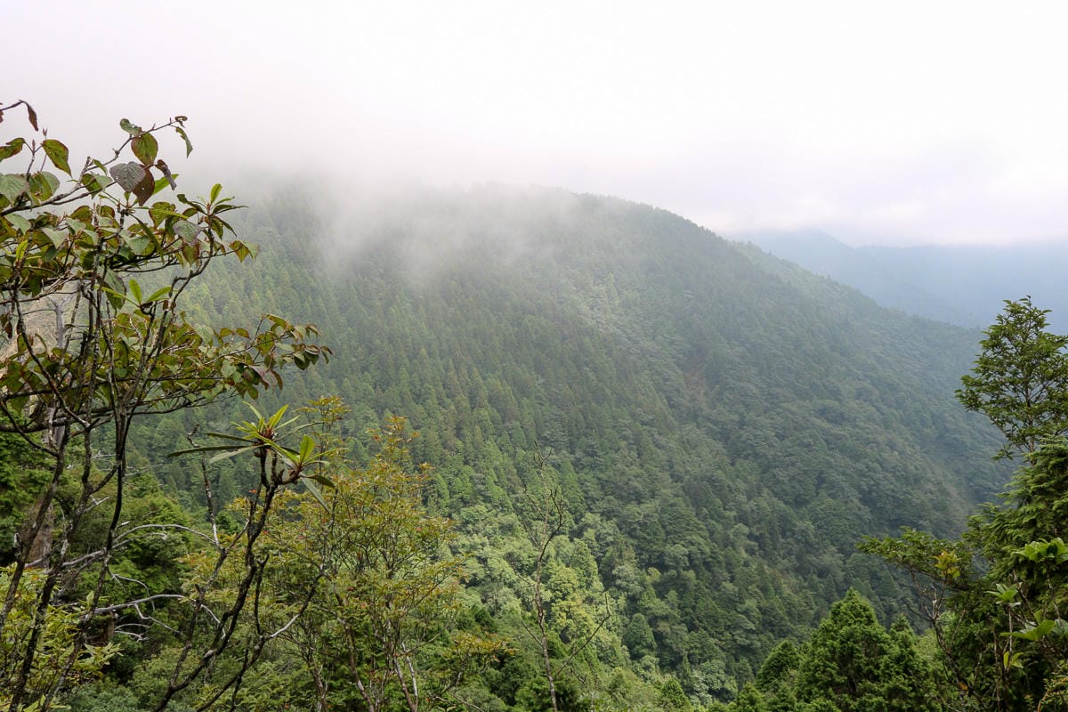 太平山翠峰湖兩日夜宿翠峰山屋怎麼走都趣味!翠峰湖環山步道根本不是環湖啊 - 第24張圖 太平山翠峰湖兩日夜宿翠峰山屋怎麼走都趣味!翠峰湖環山步道根本不是環湖啊