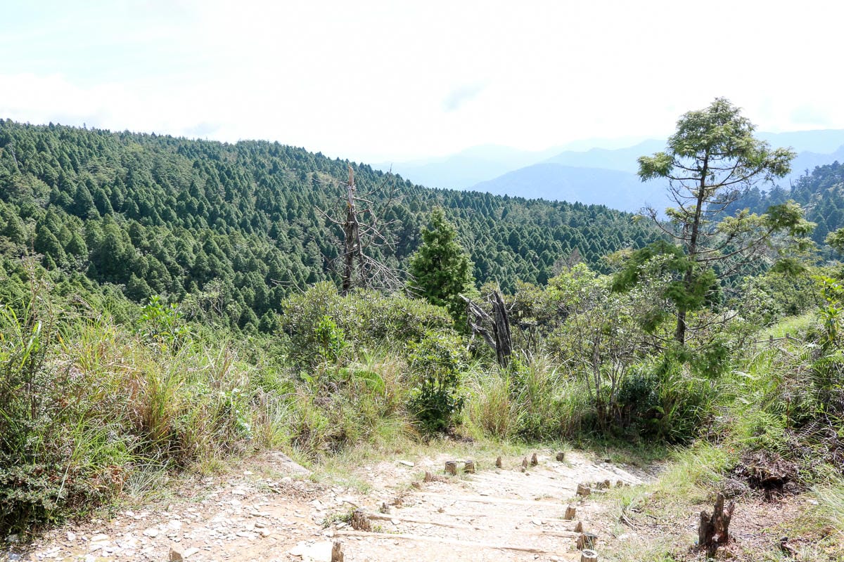太平山翠峰湖兩日夜宿翠峰山屋怎麼走都趣味!翠峰湖環山步道根本不是環湖啊 - 第12張圖 太平山翠峰湖兩日夜宿翠峰山屋怎麼走都趣味!翠峰湖環山步道根本不是環湖啊