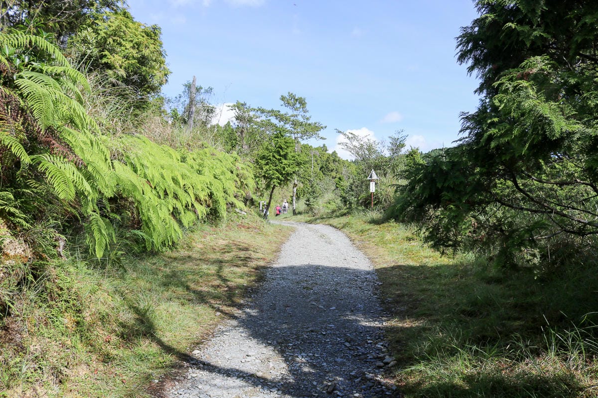 太平山翠峰湖兩日夜宿翠峰山屋怎麼走都趣味!翠峰湖環山步道根本不是環湖啊 - 第11張圖 太平山翠峰湖兩日夜宿翠峰山屋怎麼走都趣味!翠峰湖環山步道根本不是環湖啊