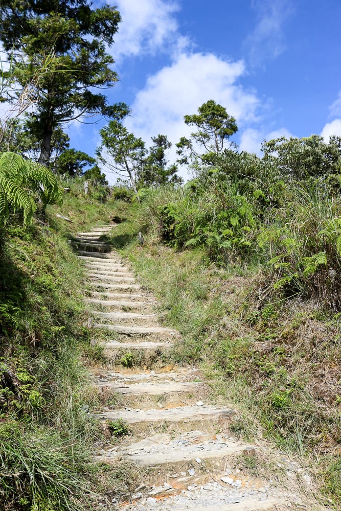 太平山翠峰湖兩日夜宿翠峰山屋怎麼走都趣味!翠峰湖環山步道根本不是環湖啊 - 第10張圖 太平山翠峰湖兩日夜宿翠峰山屋怎麼走都趣味!翠峰湖環山步道根本不是環湖啊
