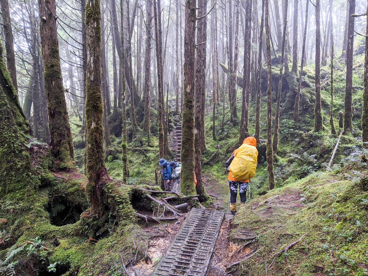 太平山翠峰湖兩日夜宿翠峰山屋怎麼走都趣味!翠峰湖環山步道根本不是環湖啊 - 第14張圖 太平山翠峰湖兩日夜宿翠峰山屋怎麼走都趣味!翠峰湖環山步道根本不是環湖啊