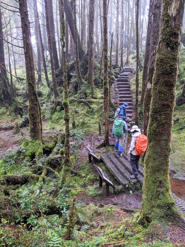 太平山翠峰湖兩日夜宿翠峰山屋怎麼走都趣味!翠峰湖環山步道根本不是環湖啊 - 第15張圖 太平山翠峰湖兩日夜宿翠峰山屋怎麼走都趣味!翠峰湖環山步道根本不是環湖啊