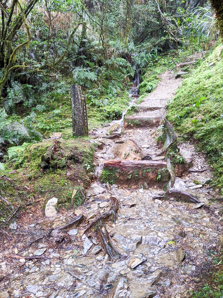 太平山翠峰湖兩日夜宿翠峰山屋怎麼走都趣味!翠峰湖環山步道根本不是環湖啊 - 第3張圖 太平山翠峰湖兩日夜宿翠峰山屋怎麼走都趣味!翠峰湖環山步道根本不是環湖啊