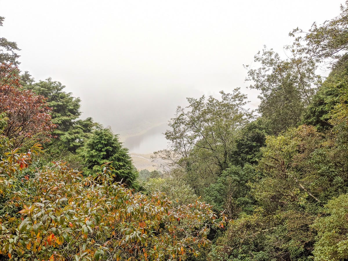 太平山翠峰湖兩日夜宿翠峰山屋怎麼走都趣味!翠峰湖環山步道根本不是環湖啊 - 第7張圖 太平山翠峰湖兩日夜宿翠峰山屋怎麼走都趣味!翠峰湖環山步道根本不是環湖啊