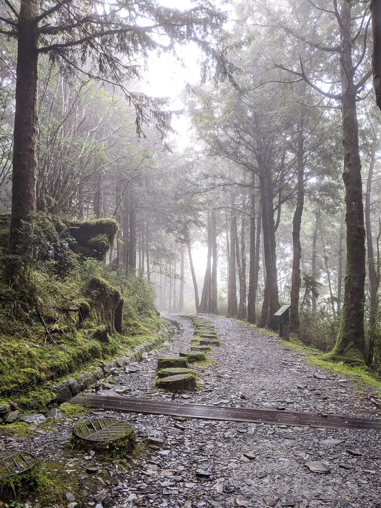 太平山翠峰湖兩日夜宿翠峰山屋怎麼走都趣味!翠峰湖環山步道根本不是環湖啊 - 第27張圖 太平山翠峰湖兩日夜宿翠峰山屋怎麼走都趣味!翠峰湖環山步道根本不是環湖啊