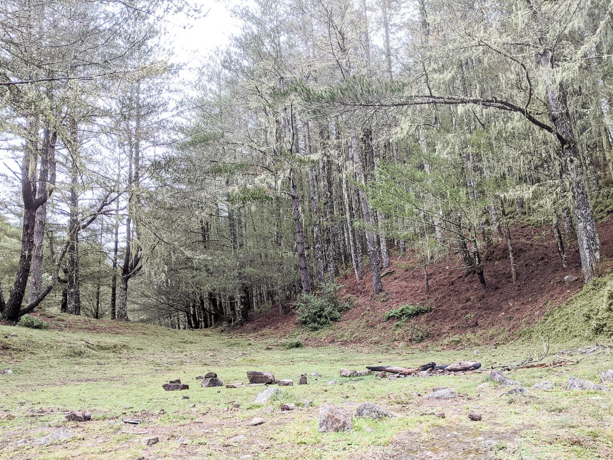 戒茂斯上嘉明湖O形順登三叉向陽 戒茂斯這裡不簡單 序