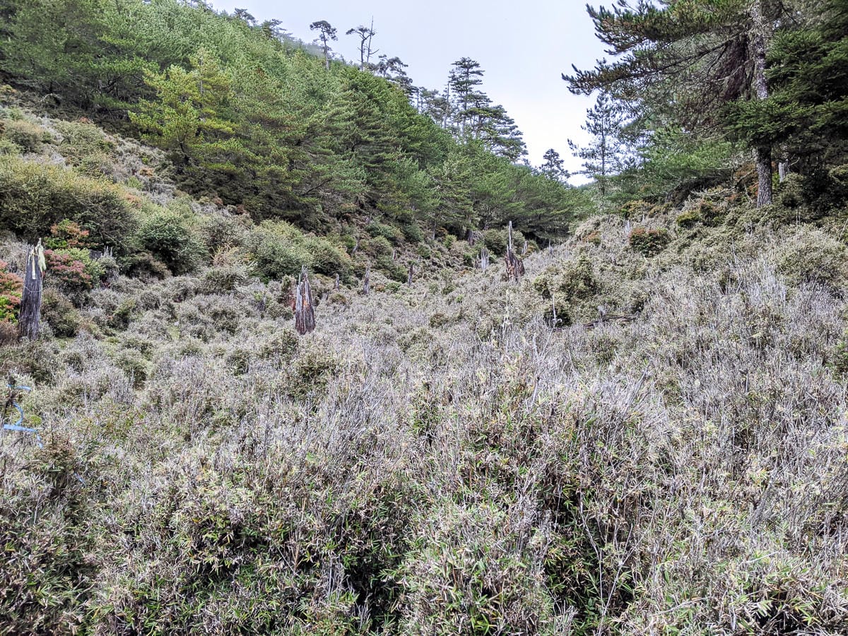戒茂斯上嘉明湖O形順登三叉向陽 戒茂斯這裡不簡單 序