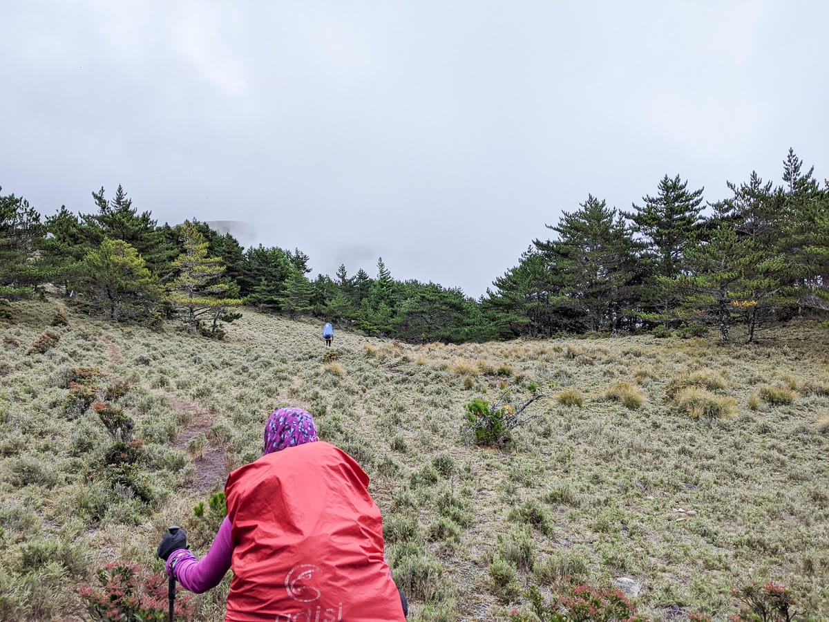 戒茂斯上嘉明湖O形順登三叉向陽 戒茂斯這裡不簡單 序
