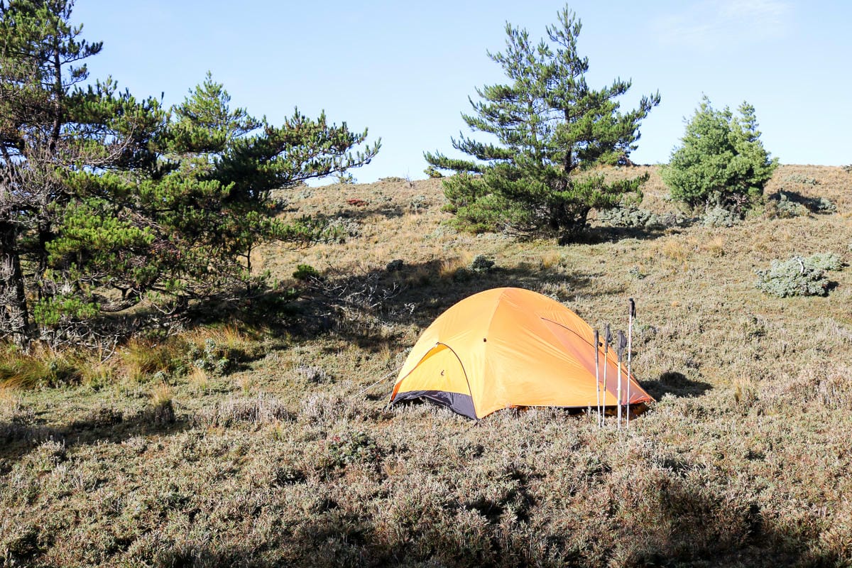 戒茂斯上嘉明湖O形順登三叉向陽 戒茂斯這裡不簡單 序