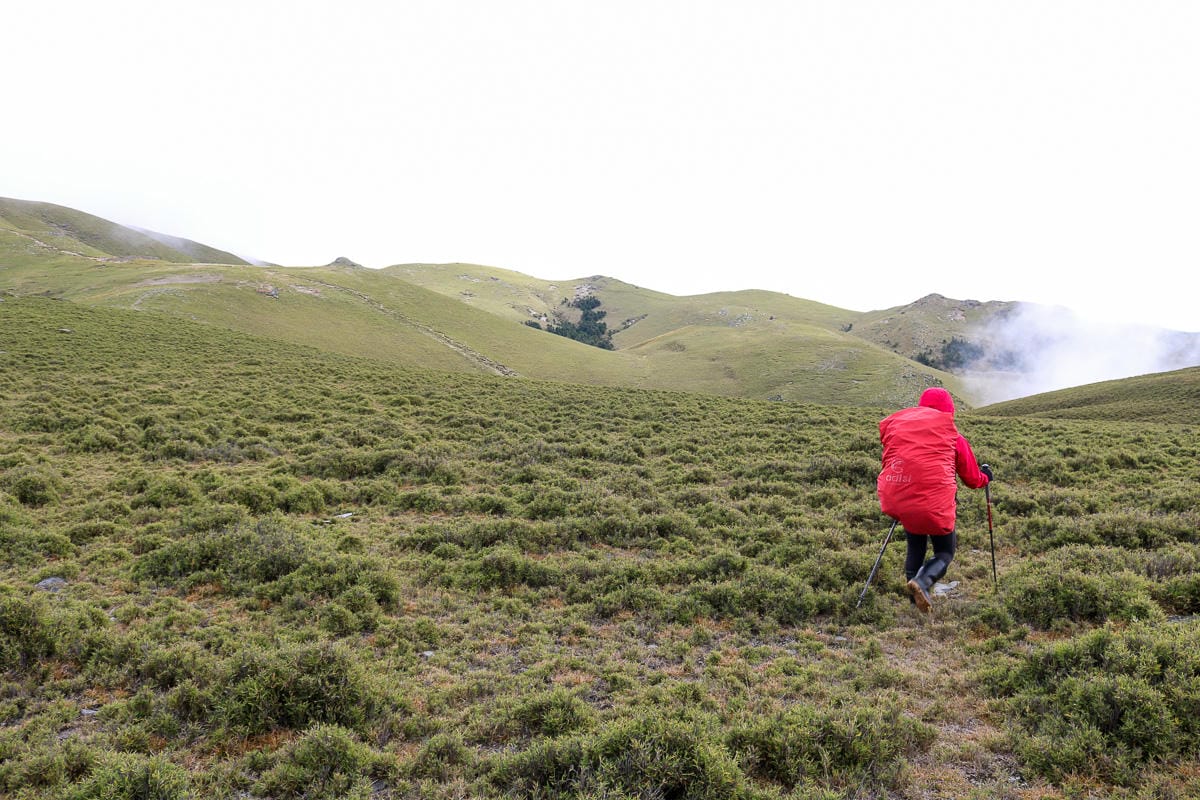 戒茂斯上嘉明湖O形順登三叉向陽 戒茂斯這裡不簡單 序