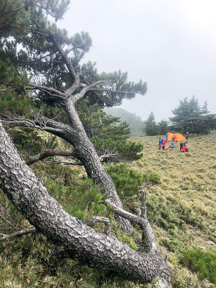 戒茂斯上嘉明湖O形順登三叉向陽 陡坡爬到想殺人 二