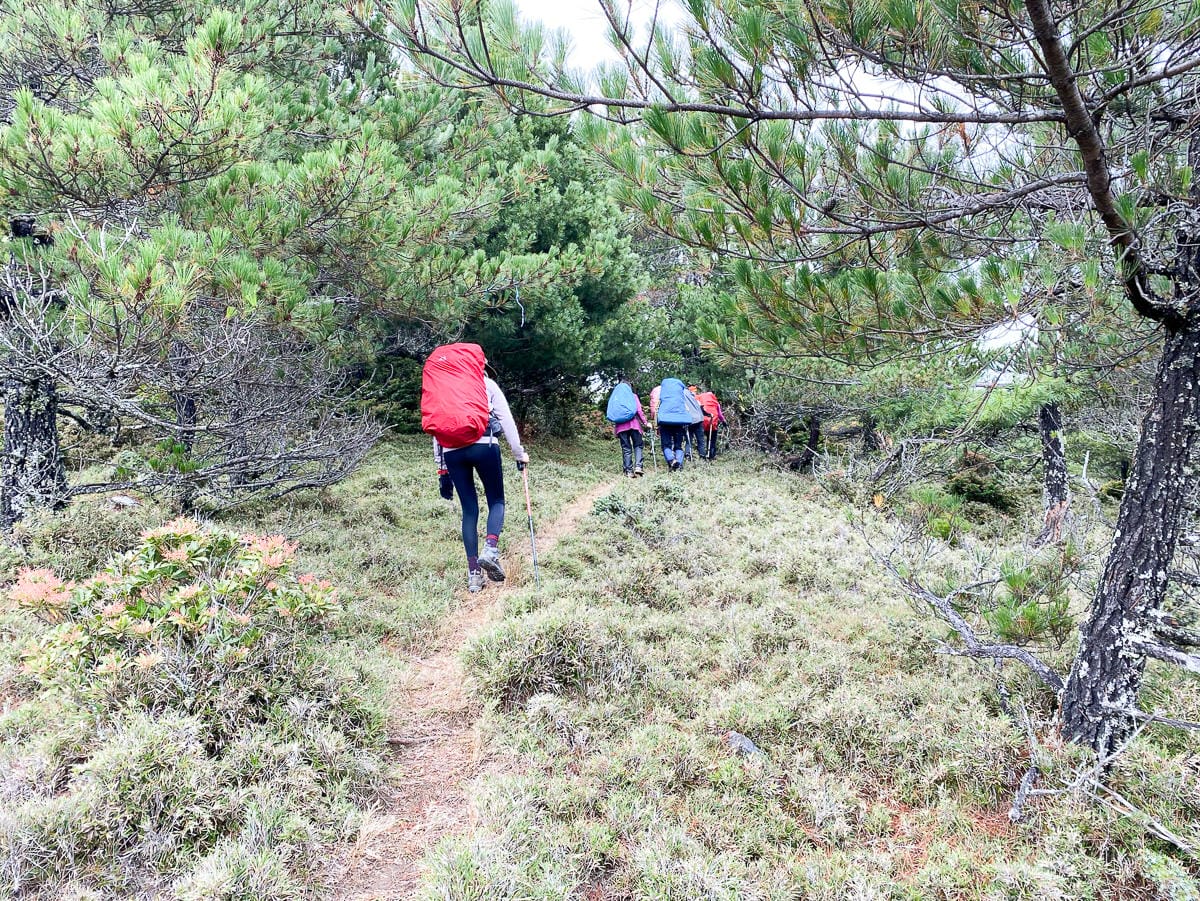 戒茂斯上嘉明湖O形順登三叉向陽 陡坡爬到想殺人 二