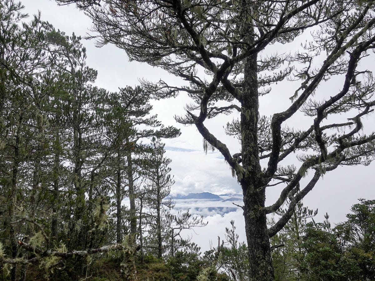 戒茂斯上嘉明湖O形順登三叉向陽 陡坡爬到想殺人 二