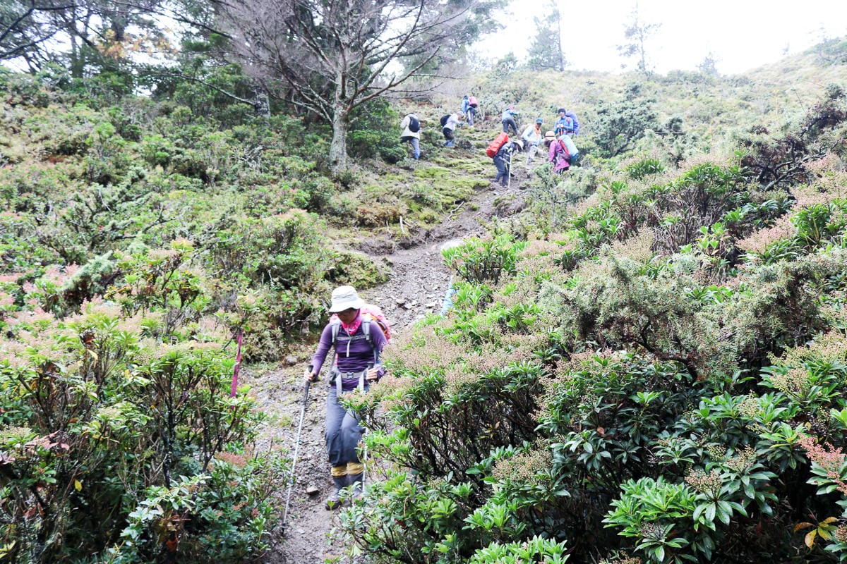 戒茂斯上嘉明湖O形順登三叉向陽 為我們存在 三 - 第6張圖 戒茂斯上嘉明湖O形順登三叉向陽 為我們存在 三