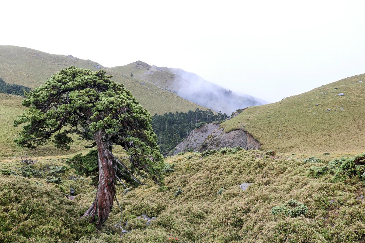 戒茂斯上嘉明湖O形順登三叉向陽 為我們存在 三 - 第17張圖 戒茂斯上嘉明湖O形順登三叉向陽 為我們存在 三