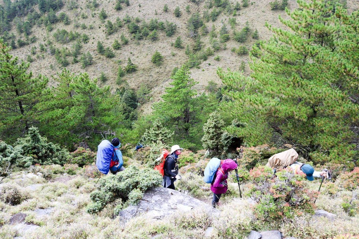 戒茂斯上嘉明湖O形順登三叉向陽 為我們存在 三 - 第5張圖 戒茂斯上嘉明湖O形順登三叉向陽 為我們存在 三