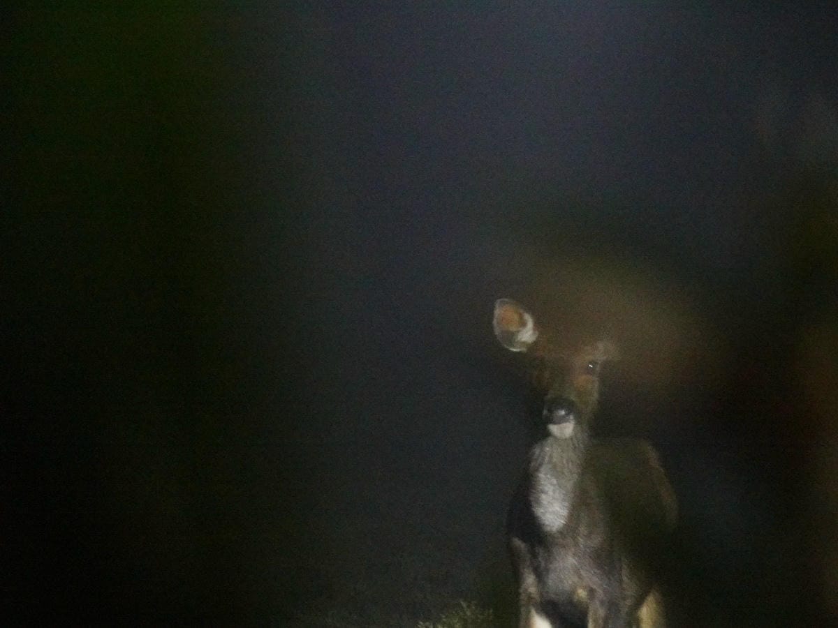 戒茂斯上嘉明湖O形順登三叉向陽 為我們存在 三 - 第22張圖 戒茂斯上嘉明湖O形順登三叉向陽 為我們存在 三