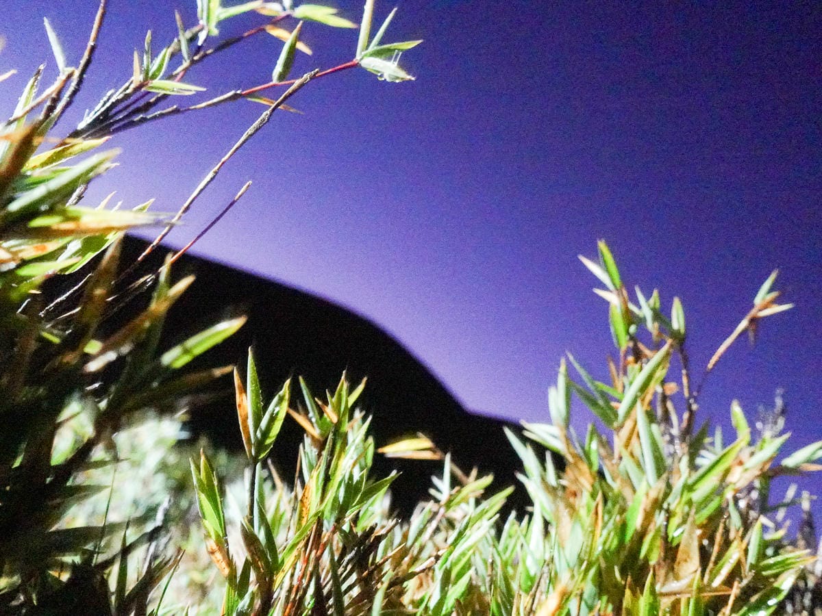 戒茂斯上嘉明湖O形順登三叉向陽 為我們存在 三 - 第21張圖 戒茂斯上嘉明湖O形順登三叉向陽 為我們存在 三