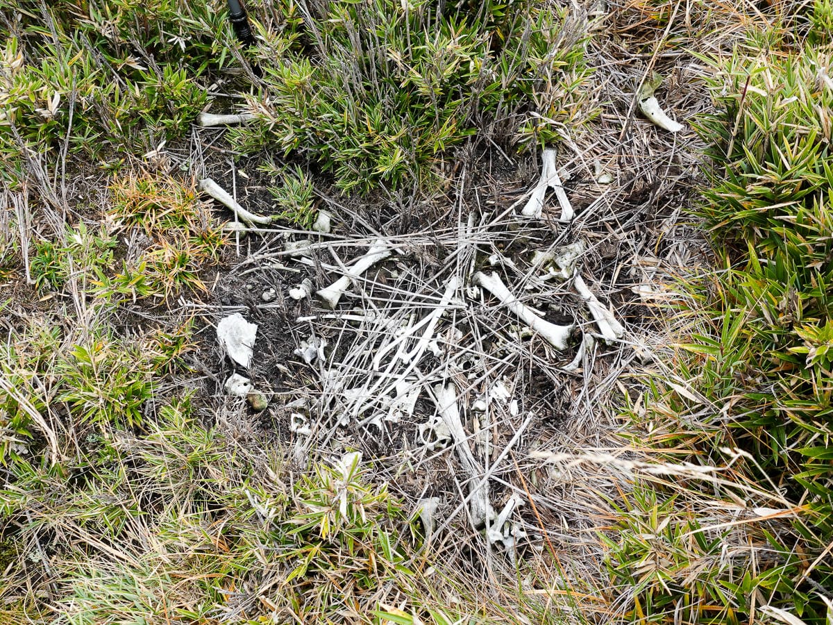 戒茂斯上嘉明湖O形順登三叉向陽 為我們存在 三 - 第15張圖 戒茂斯上嘉明湖O形順登三叉向陽 為我們存在 三