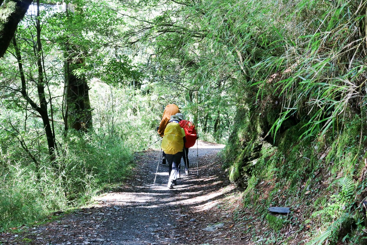 奇萊南華三天兩夜 奇萊南峰能高北峰 能高瀑布根本能量景點