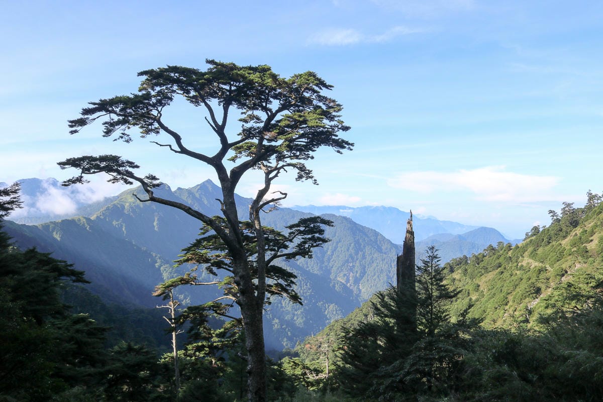 奇萊南華三天兩夜 奇萊南峰能高北峰 能高瀑布根本能量景點