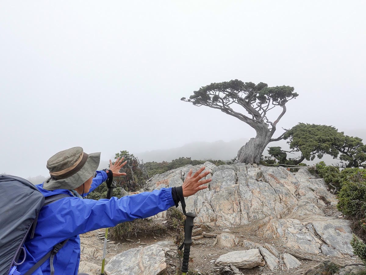 戒茂斯上嘉明湖O形順登三叉向陽 腳底冒煙了卻無比值得 四 - 第24張圖 戒茂斯上嘉明湖O形順登三叉向陽 腳底冒煙了卻無比值得 四