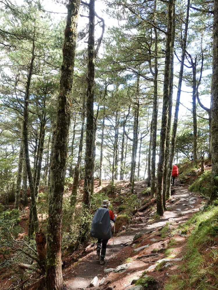 戒茂斯上嘉明湖O形順登三叉向陽 腳底冒煙了卻無比值得 四 - 第26張圖 戒茂斯上嘉明湖O形順登三叉向陽 腳底冒煙了卻無比值得 四