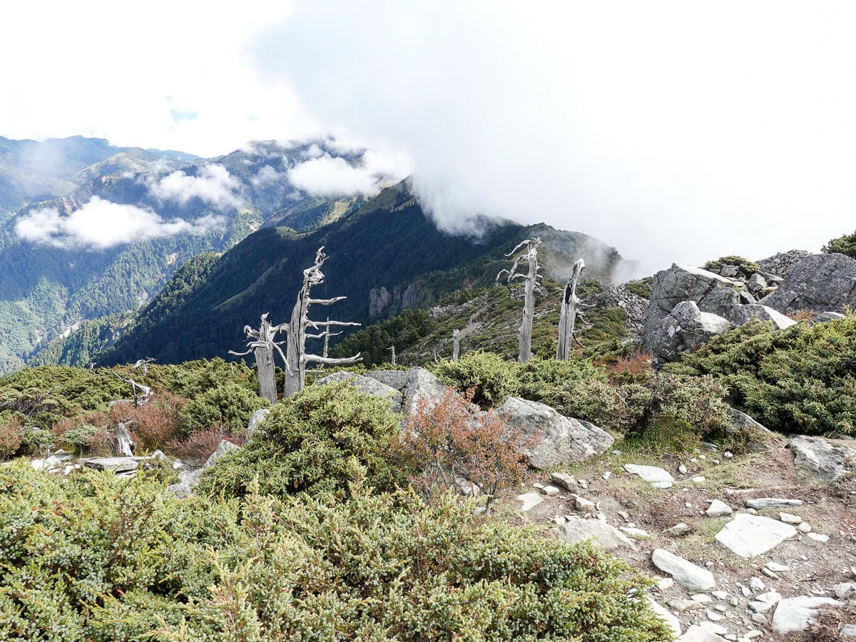 戒茂斯上嘉明湖O形順登三叉向陽 腳底冒煙了卻無比值得 四 - 第18張圖 戒茂斯上嘉明湖O形順登三叉向陽 腳底冒煙了卻無比值得 四