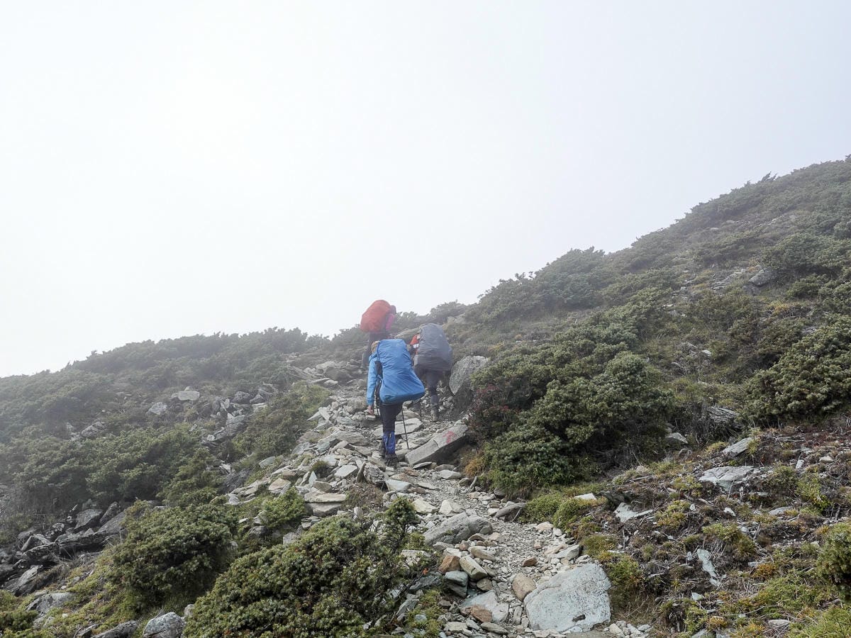 戒茂斯上嘉明湖O形順登三叉向陽 腳底冒煙了卻無比值得 四 - 第21張圖 戒茂斯上嘉明湖O形順登三叉向陽 腳底冒煙了卻無比值得 四