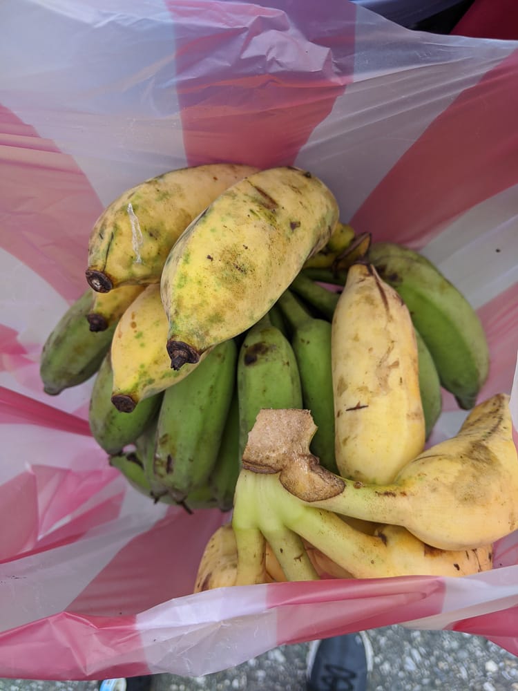 花蓮太魯閣馬拉松 我的初次半馬把自己打殘人生何苦這樣