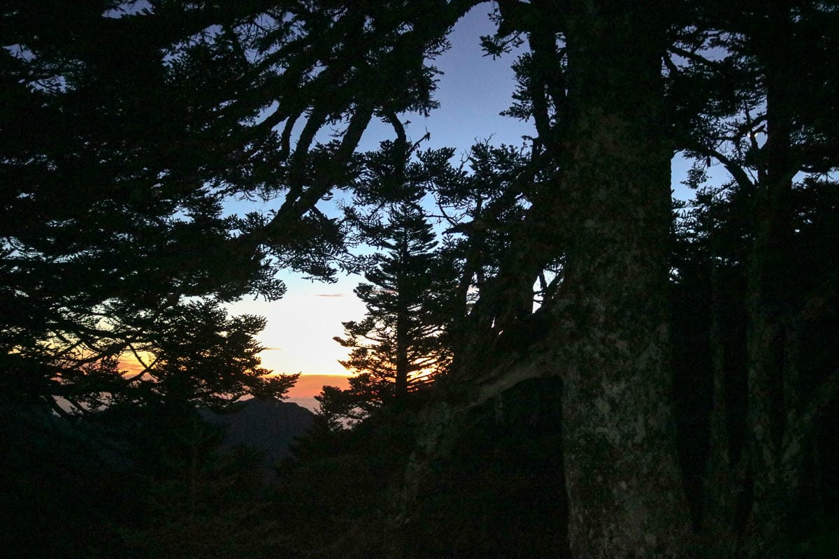 雪山三天兩夜 台灣第二高峰雪山黑森林圈谷好美碎石坡我也甘願